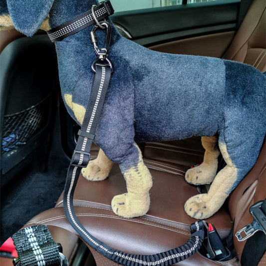 Dog in a car seat clipped in with a black reflective seat belt tether