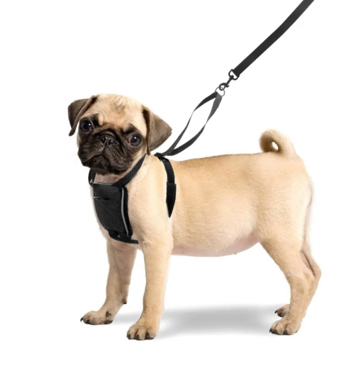 Reflective No-Pull Dog Harness – Large