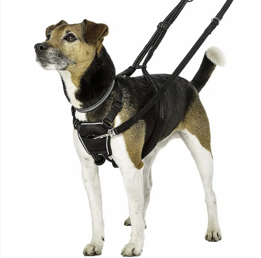 Reflective No-Pull Dog Harness – Large
