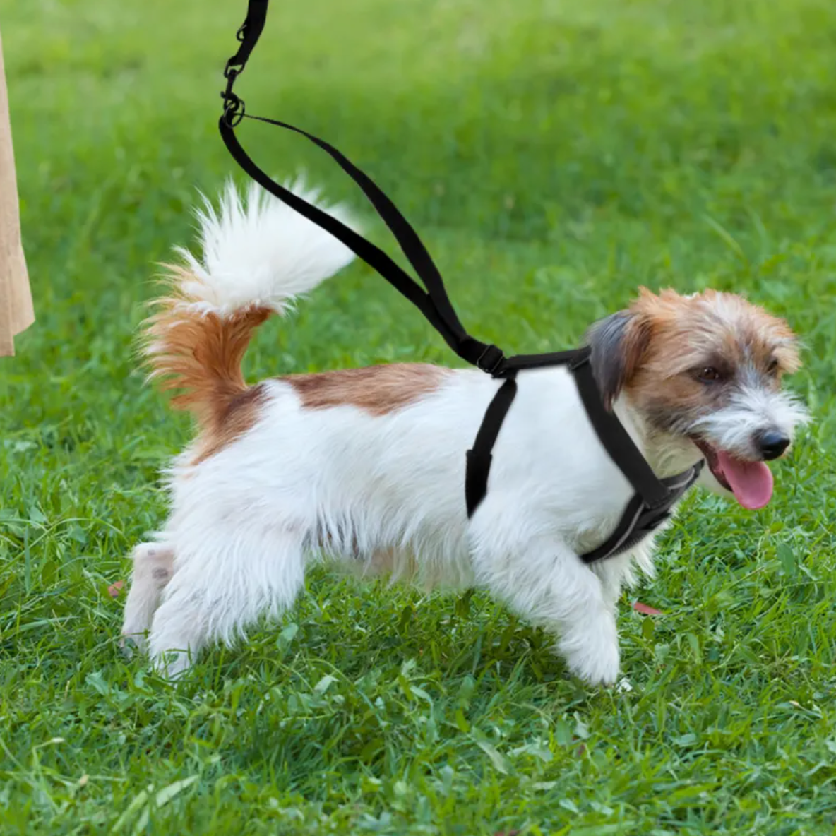 Reflective No-Pull Dog Harness – Large